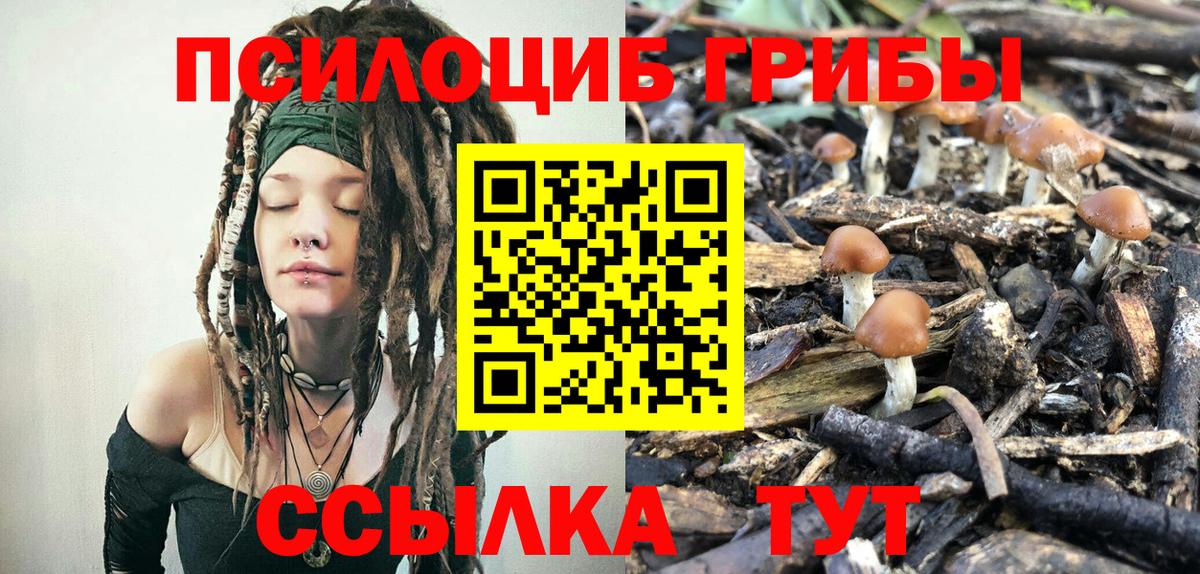 Псилоцибиновые грибы MAGIC MUSHROOMS Саянск